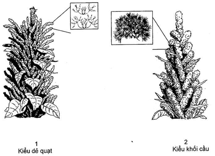 Thông tư 05/2014/TT-BNNPTNT của Bộ Nông nghiệp và Phát triển nông thôn về việc ban hành Quy chuẩn kỹ thuật quốc gia lĩnh vực trồng trọt