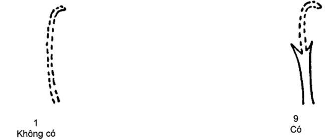 Thông tư 05/2014/TT-BNNPTNT của Bộ Nông nghiệp và Phát triển nông thôn về việc ban hành Quy chuẩn kỹ thuật quốc gia lĩnh vực trồng trọt