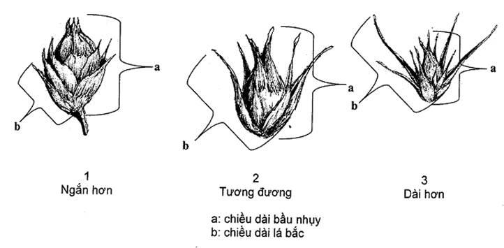 Thông tư 05/2014/TT-BNNPTNT của Bộ Nông nghiệp và Phát triển nông thôn về việc ban hành Quy chuẩn kỹ thuật quốc gia lĩnh vực trồng trọt