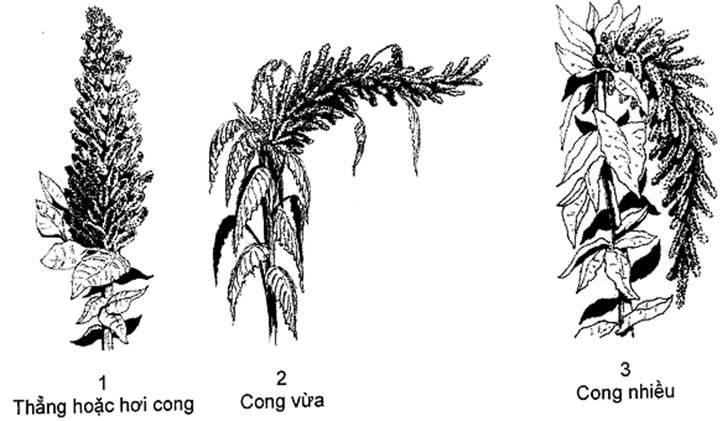 Thông tư 05/2014/TT-BNNPTNT của Bộ Nông nghiệp và Phát triển nông thôn về việc ban hành Quy chuẩn kỹ thuật quốc gia lĩnh vực trồng trọt