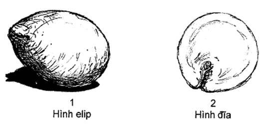 Thông tư 05/2014/TT-BNNPTNT của Bộ Nông nghiệp và Phát triển nông thôn về việc ban hành Quy chuẩn kỹ thuật quốc gia lĩnh vực trồng trọt