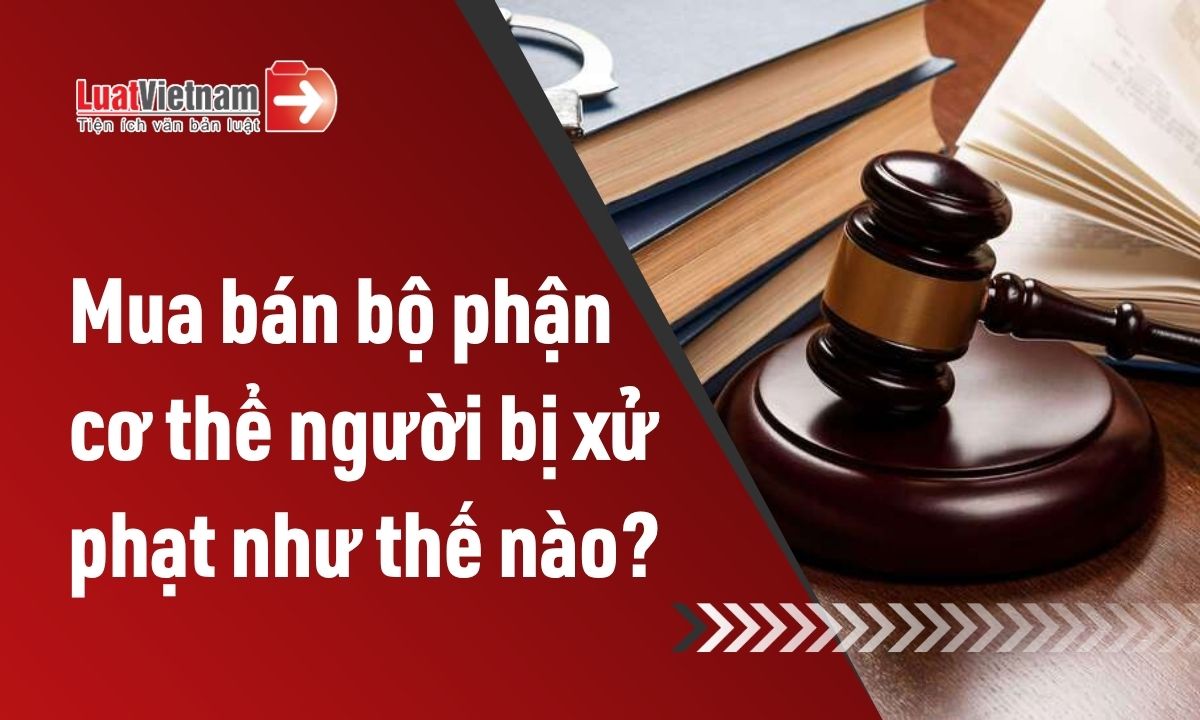 Mua bán bộ phận cơ thể người bị xử phạt như thế nào? Mua bán bộ phận cơ thể người bị xử phạt như thế nào?