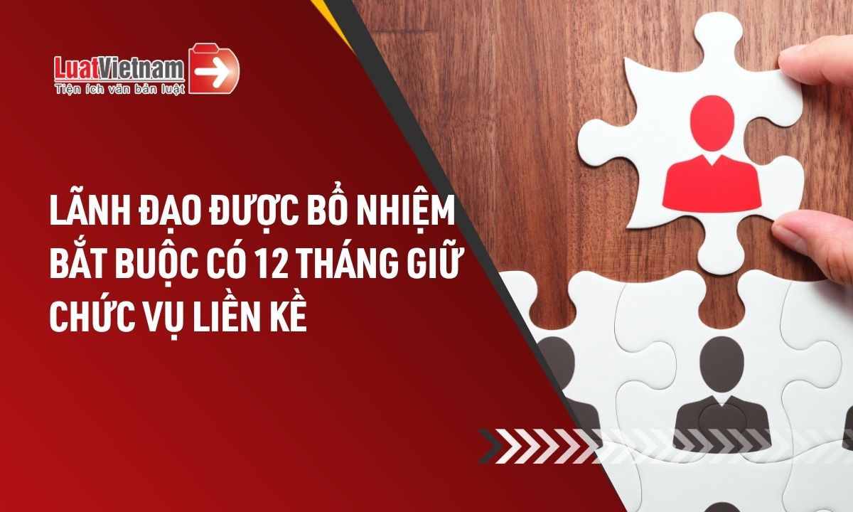 bo-nhiem-cong-chuc-lanh-dao