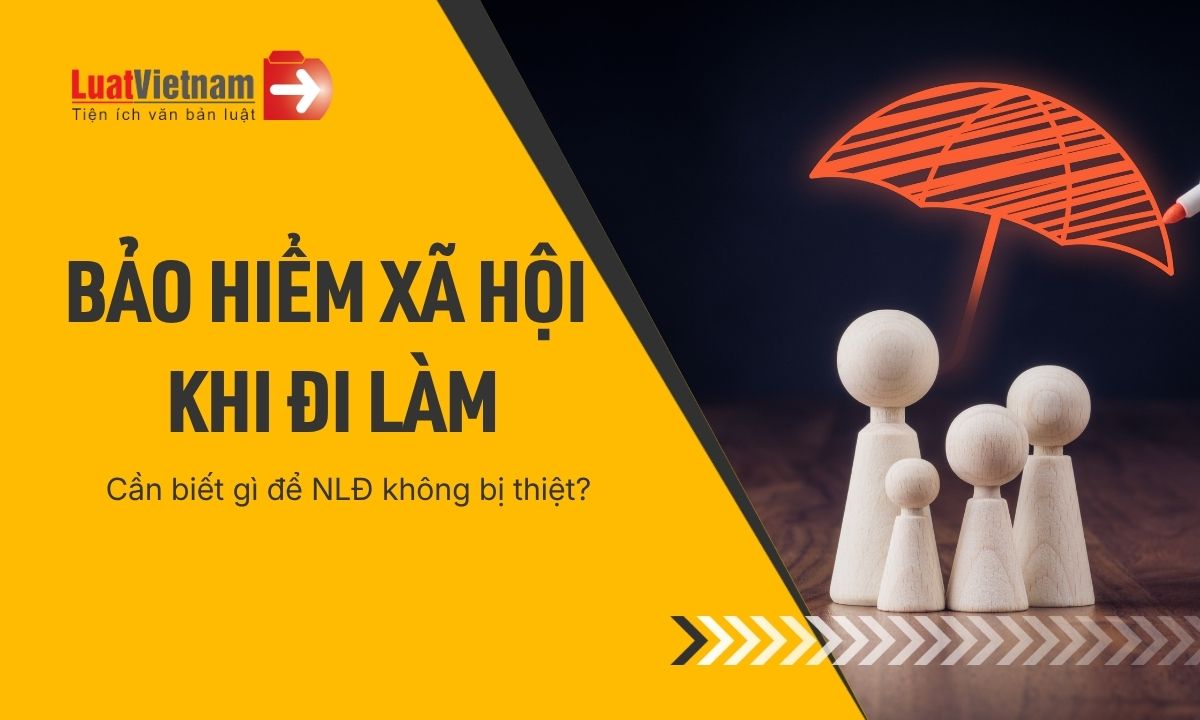 Các loại bảo hiểm khi đi làm phải đóng