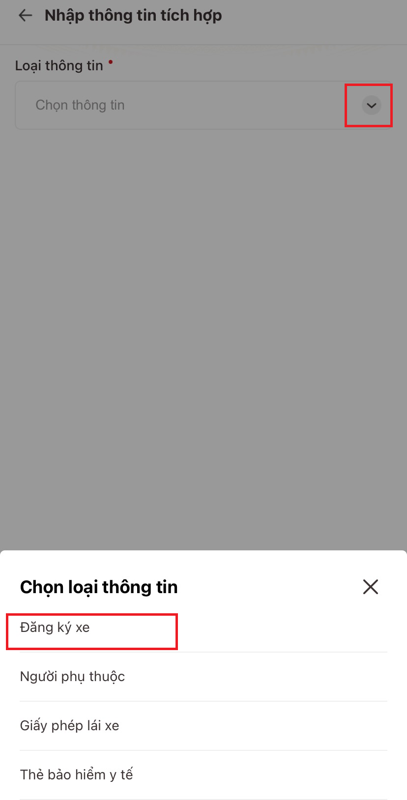 cac-loai-giay-to-duoc-cap-nhat-tren-vneid-cap-nhat-moi-nhat 04