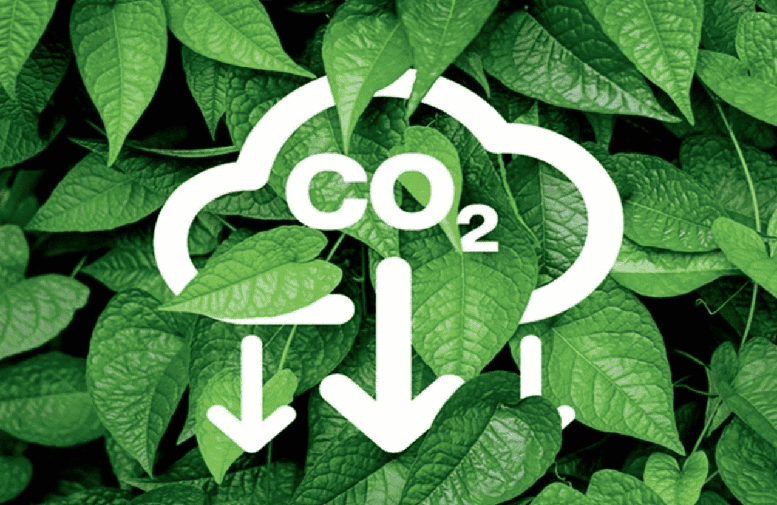 Vietnam’s domestic carbon exchange launched Vietnam’s domestic carbon exchange launched