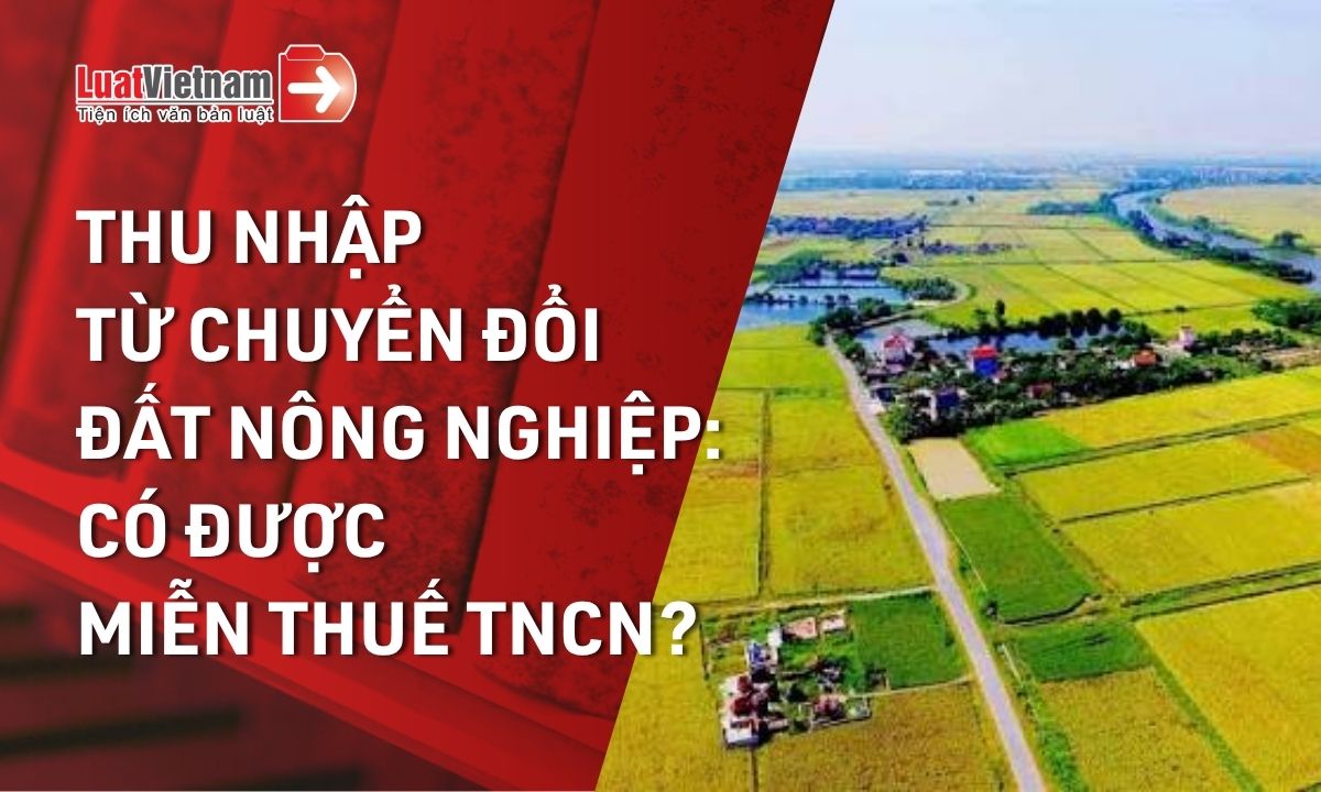Thu nhập từ chuyển đổi đất nông nghiệp có được miễn thuế TNCN không? Thu nhập từ chuyển đổi đất nông nghiệp có được miễn thuế TNCN không?