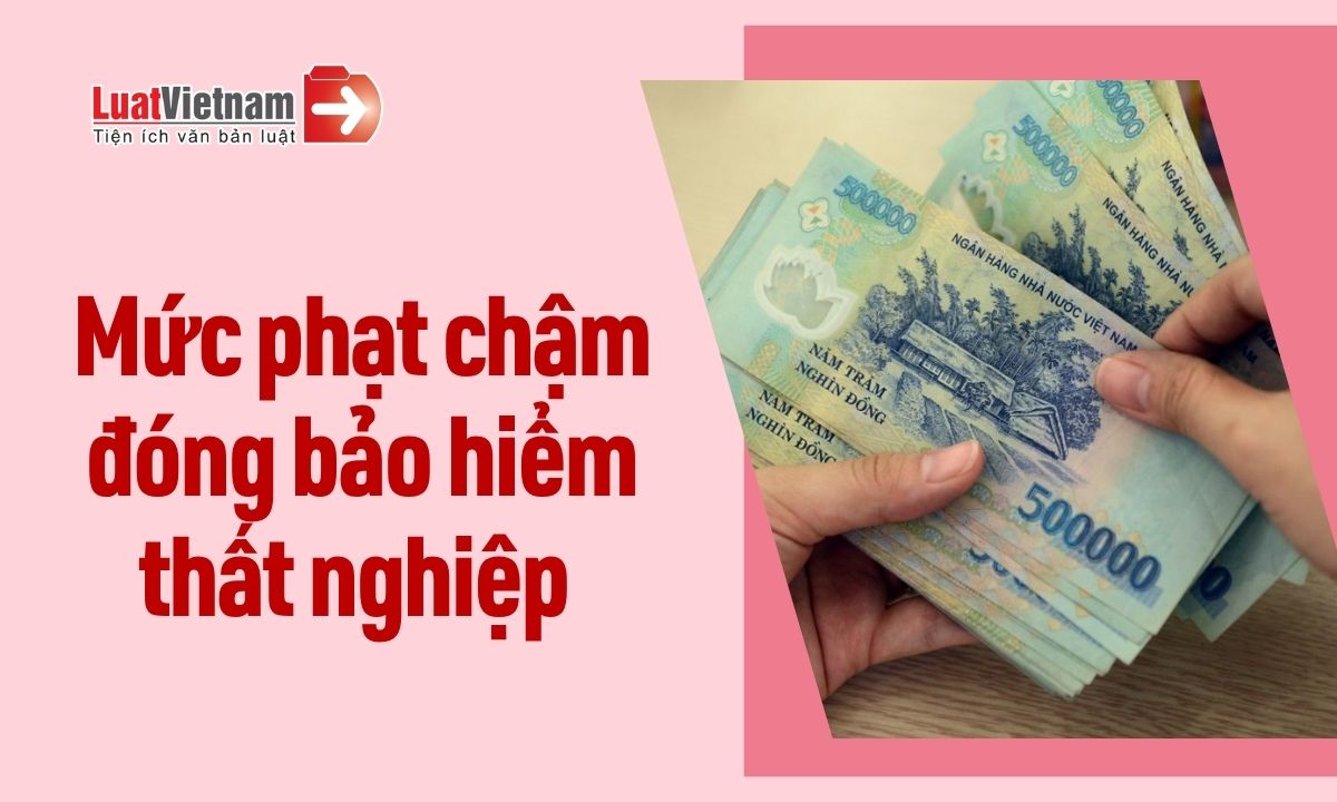 cham-dong-bao-hiem-that-nghiep-bi-phat-bao-nhieu