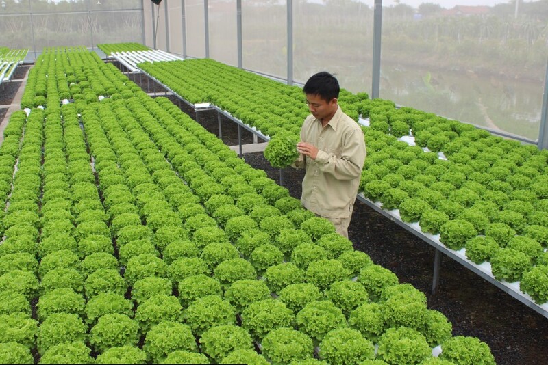 Incentive policies for high-tech agricultural zones Incentive policies for high-tech agricultural zones