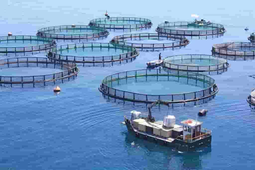 Vietnam sets out plan to become strong maritime nation by 2030 Vietnam sets out plan to become strong maritime nation by 2030
