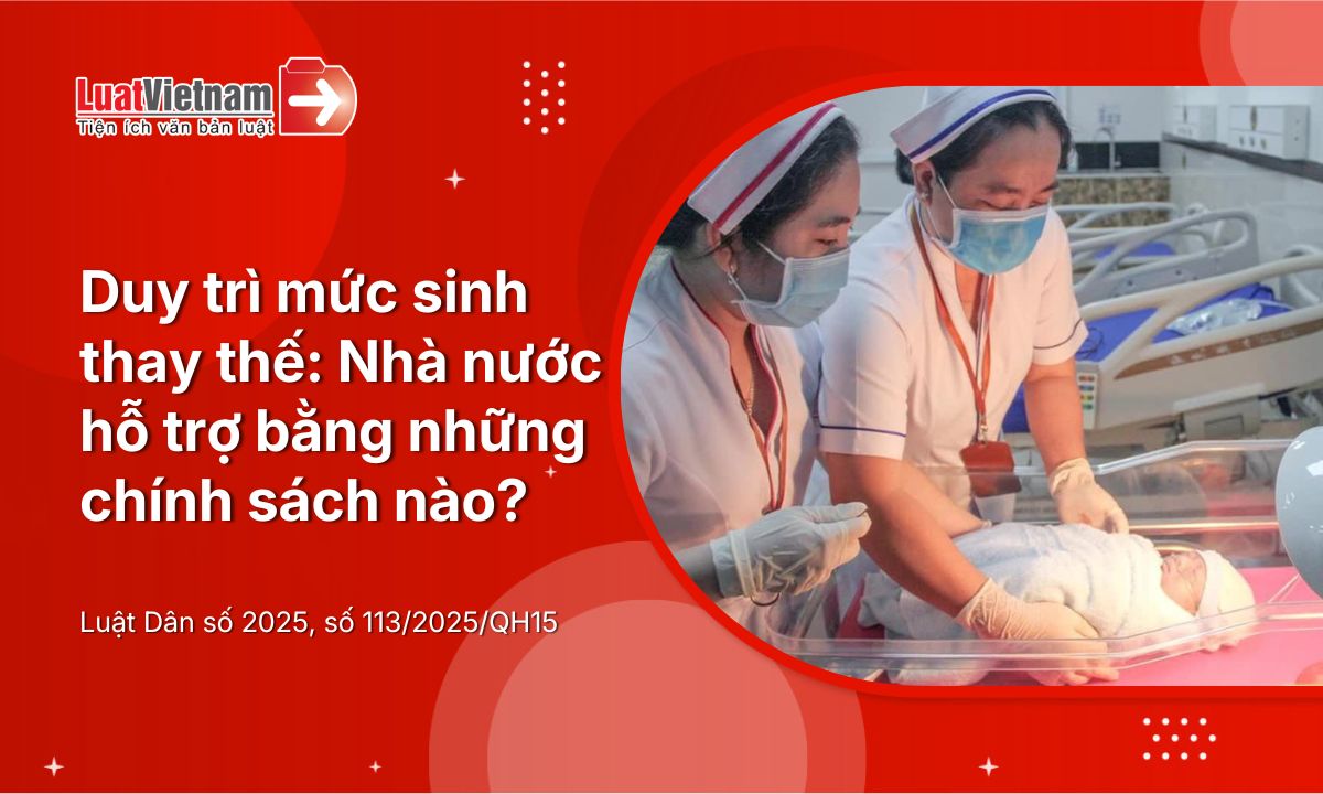 Mức sinh thay thế là gì? Nhà nước có những chính sách nào để duy trì mức sinh thay thế? Mức sinh thay thế là gì? Nhà nước có những chính sách nào để duy trì mức sinh thay thế?