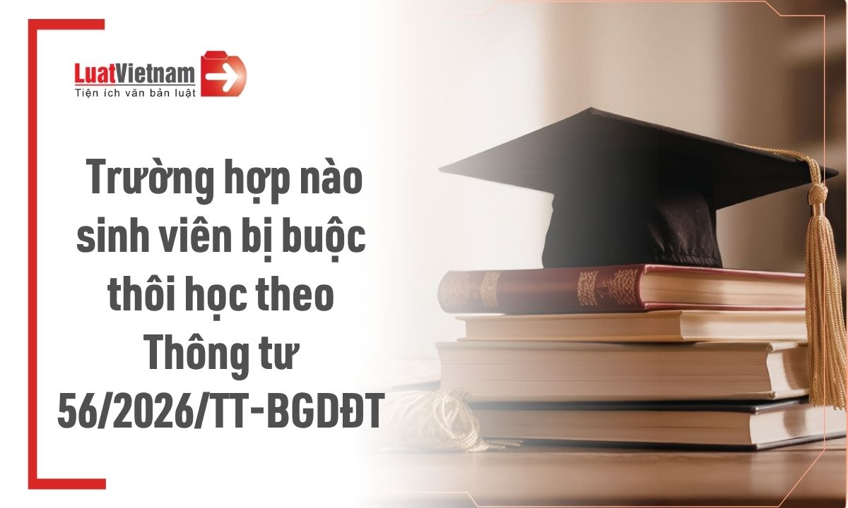 sinh-vien-bi-buoc-thoi-hoc-trong-truong-hop-nao-quy-dinh-moi-nhat