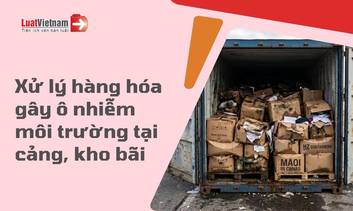 Hàng hóa gây ô nhiễm môi trường tại cảng, kho, bãi được xử lý thế nào từ 2027? Hàng hóa gây ô nhiễm môi trường tại cảng, kho, bãi được xử lý thế nào từ 2027?