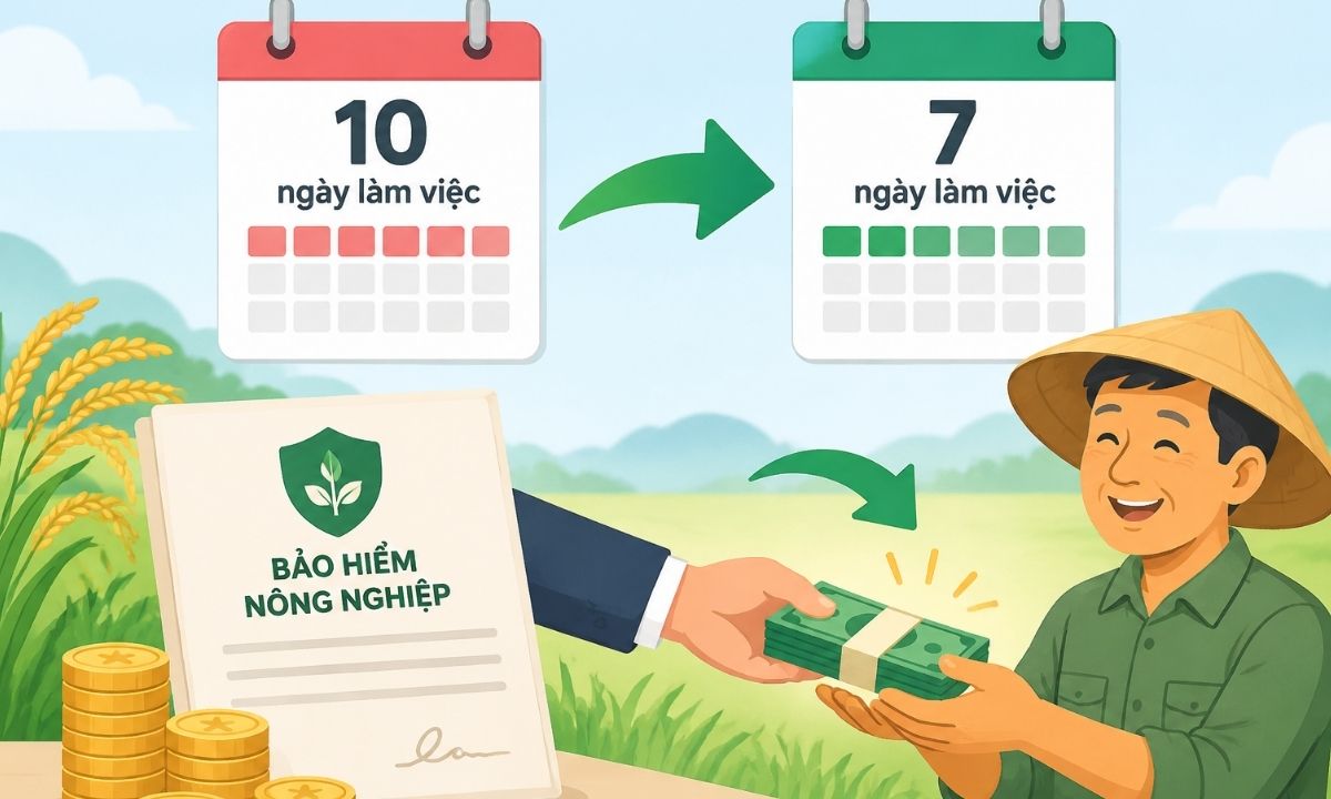 Từ 20/10/2026, rút thời gian chi trả hỗ trợ phí bảo hiểm nông nghiệp từ 10 xuống 7 ngày làm việc Từ 20/10/2026, rút thời gian chi trả hỗ trợ phí bảo hiểm nông nghiệp từ 10 xuống 7 ngày làm việc