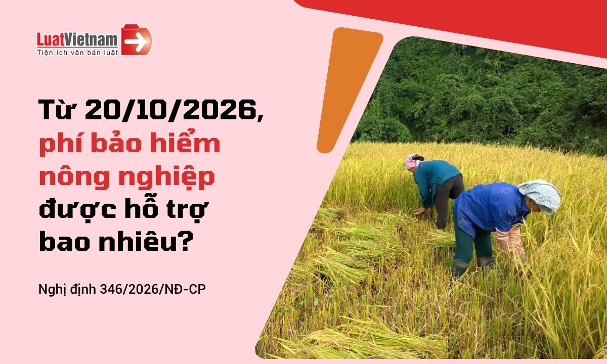 Mức hỗ trợ phí bảo hiểm nông nghiệp từ 20/10/2026 Mức hỗ trợ phí bảo hiểm nông nghiệp từ 20/10/2026