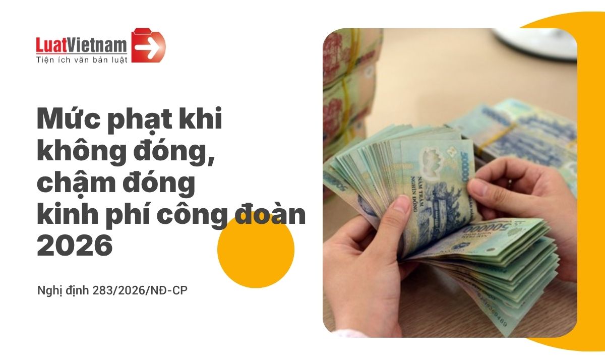 Không đóng, chậm đóng kinh phí công đoàn bị phạt bao nhiêu từ 2026? Không đóng, chậm đóng kinh phí công đoàn bị phạt bao nhiêu từ 2026?