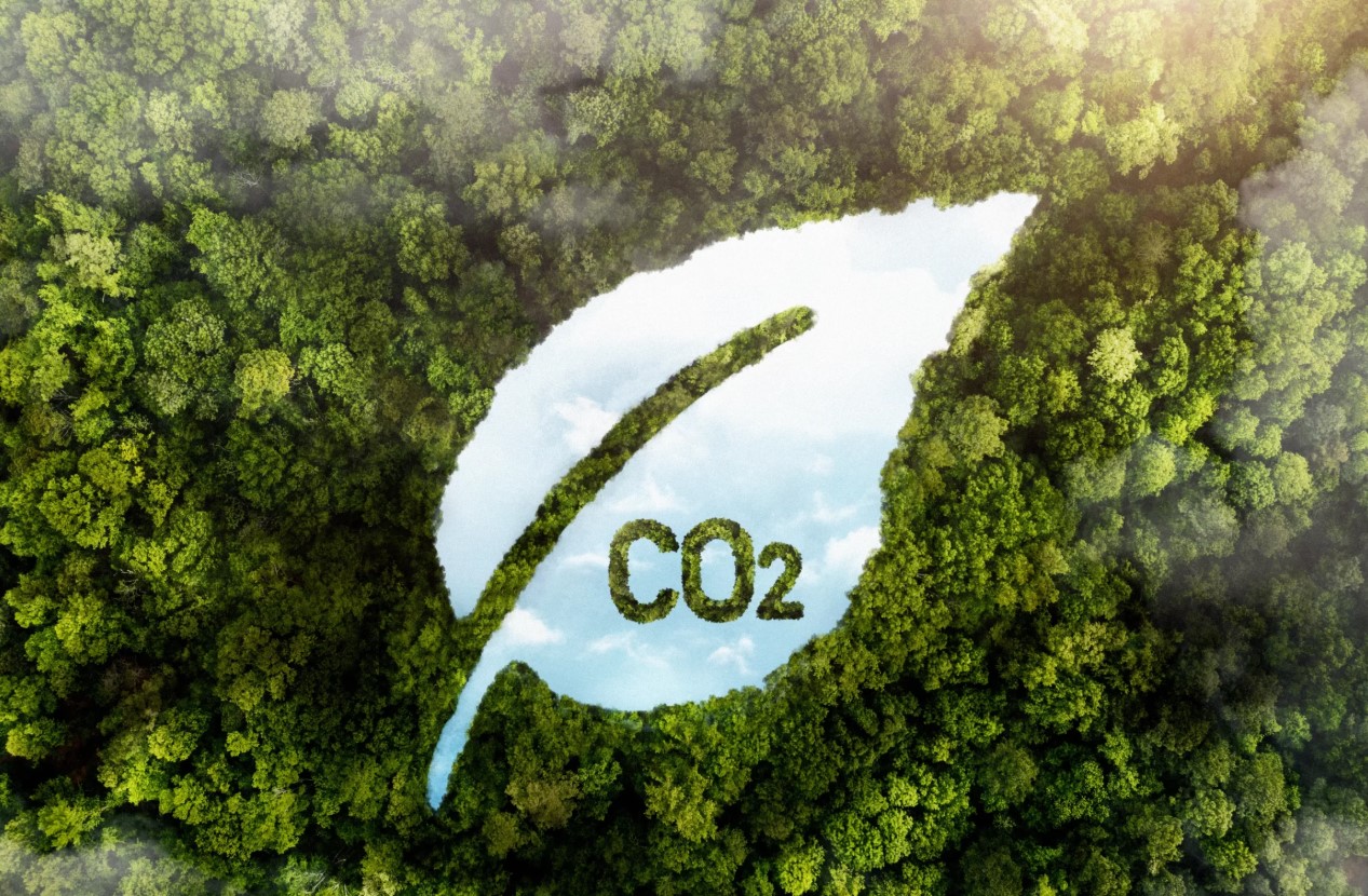 Hanoi sets up inter-agency mechanism to operate carbon market