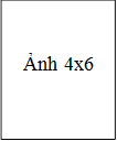 Ảnh 4x6 