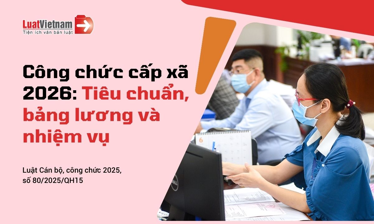 Tiêu chuẩn tuyển dụng, bảng lương và nhiệm vụ của công chức cấp xã năm 2026 Tiêu chuẩn tuyển dụng, bảng lương và nhiệm vụ của công chức cấp xã năm 2026