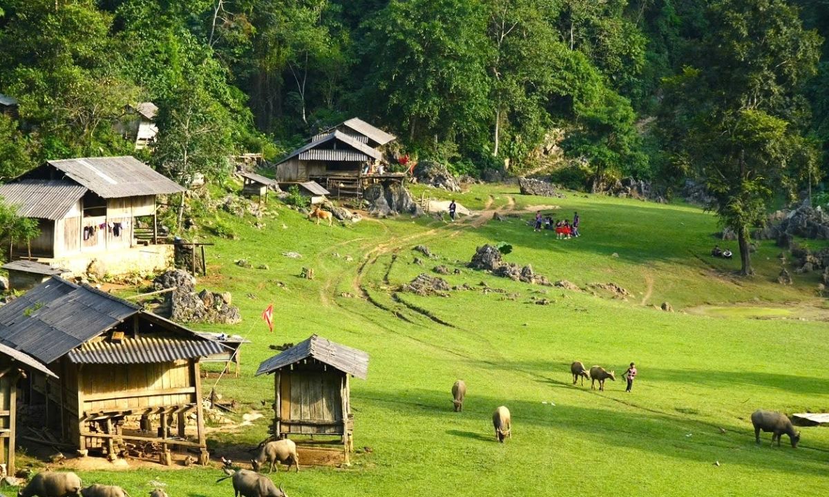 Danh sách thôn đặc biệt khó khăn giai đoạn 2026 - 2030 tại 5 tỉnh, thành (đợt 2) Danh sách thôn đặc biệt khó khăn giai đoạn 2026 - 2030 tại 5 tỉnh, thành (đợt 2)