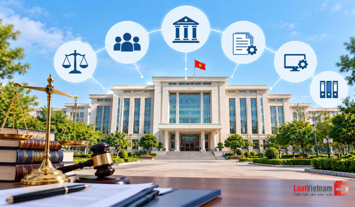 Cơ cấu tổ chức của Bộ Tư pháp gồm những đơn vị nào?