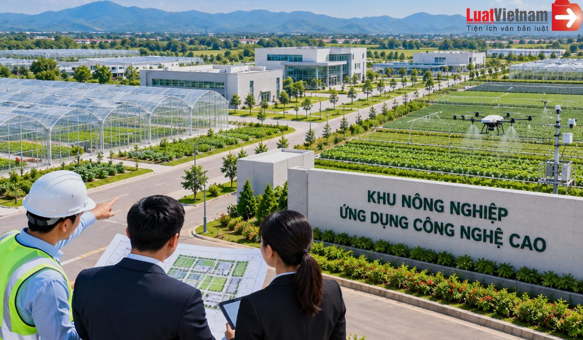 Nhà đầu tư xây dựng và kinh doanh hạ tầng khu nông nghiệp ứng dụng công nghệ cao phải đáp ứng điều kiện gì?