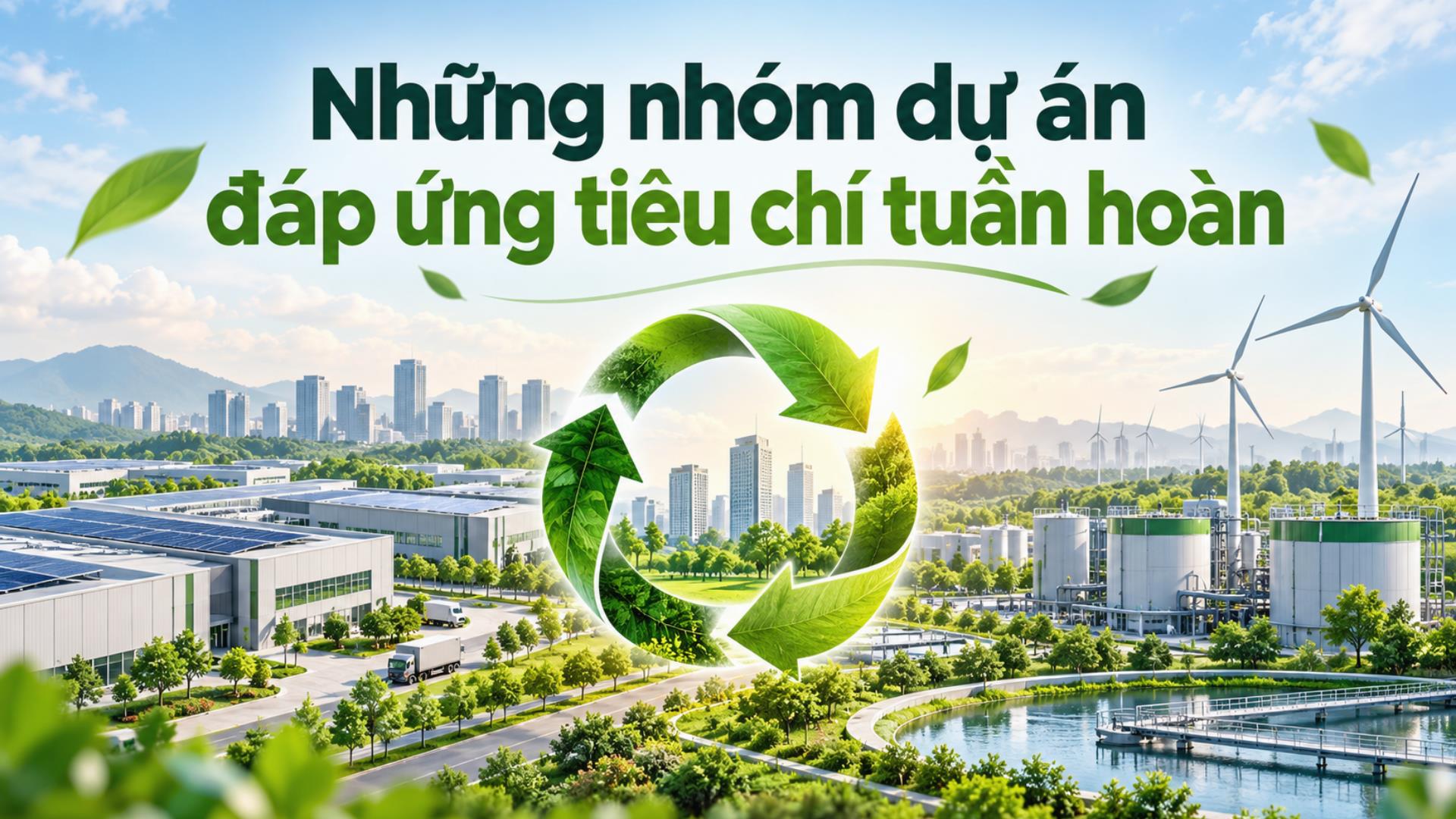 Dự án đáp ứng tiêu chí tuần hoàn gồm những nhóm nào?